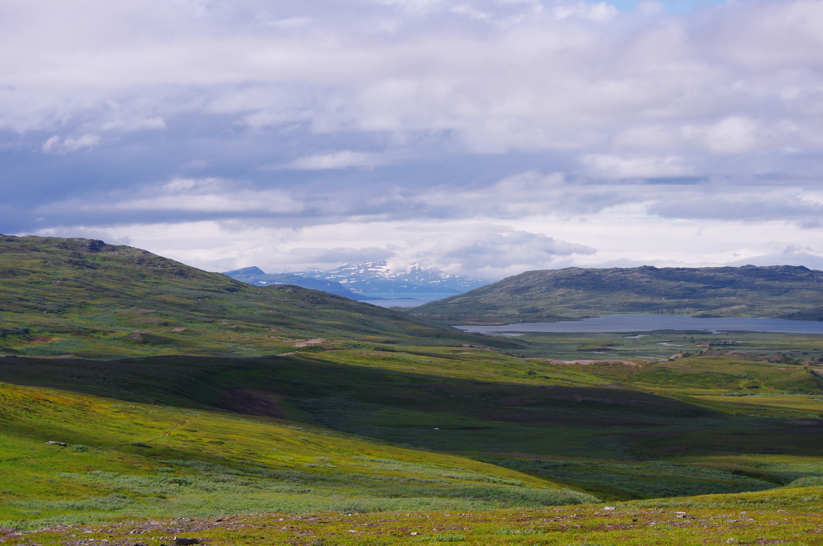 view