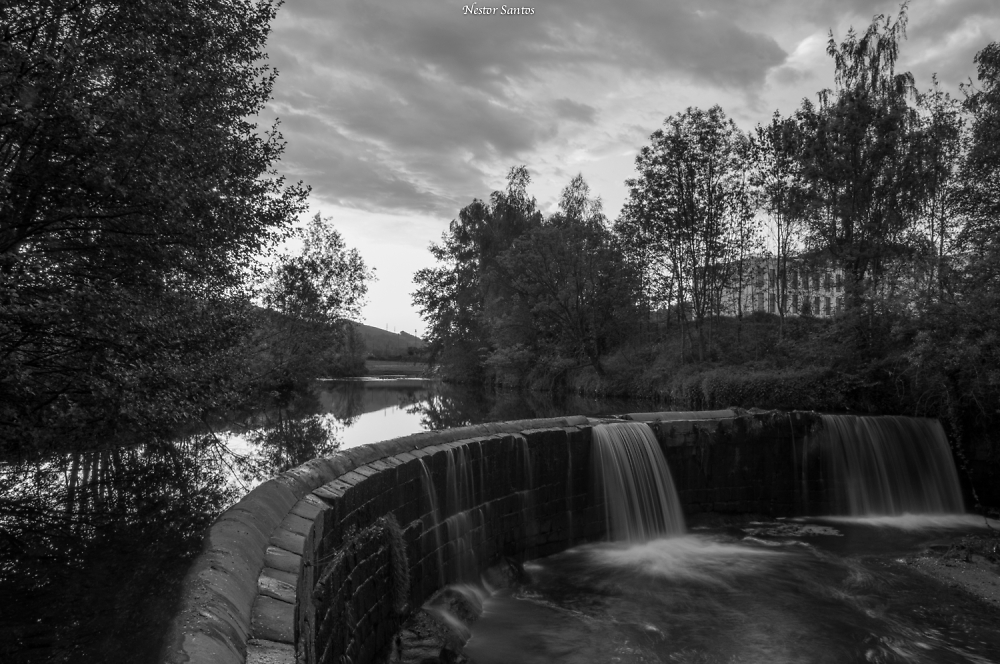dark Water