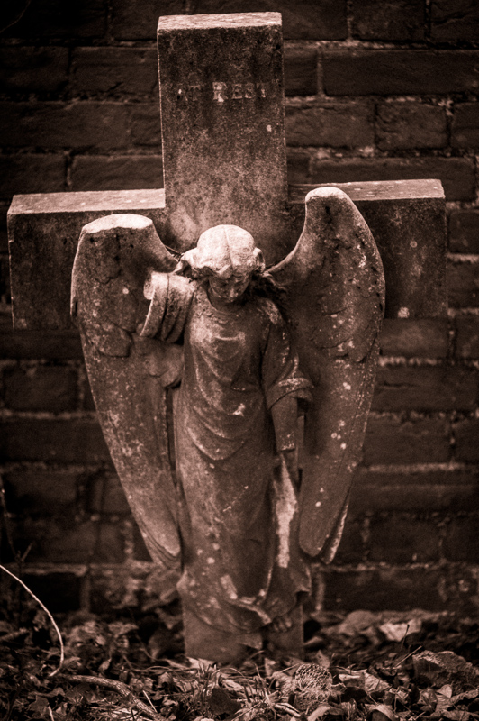 Fallen Angel