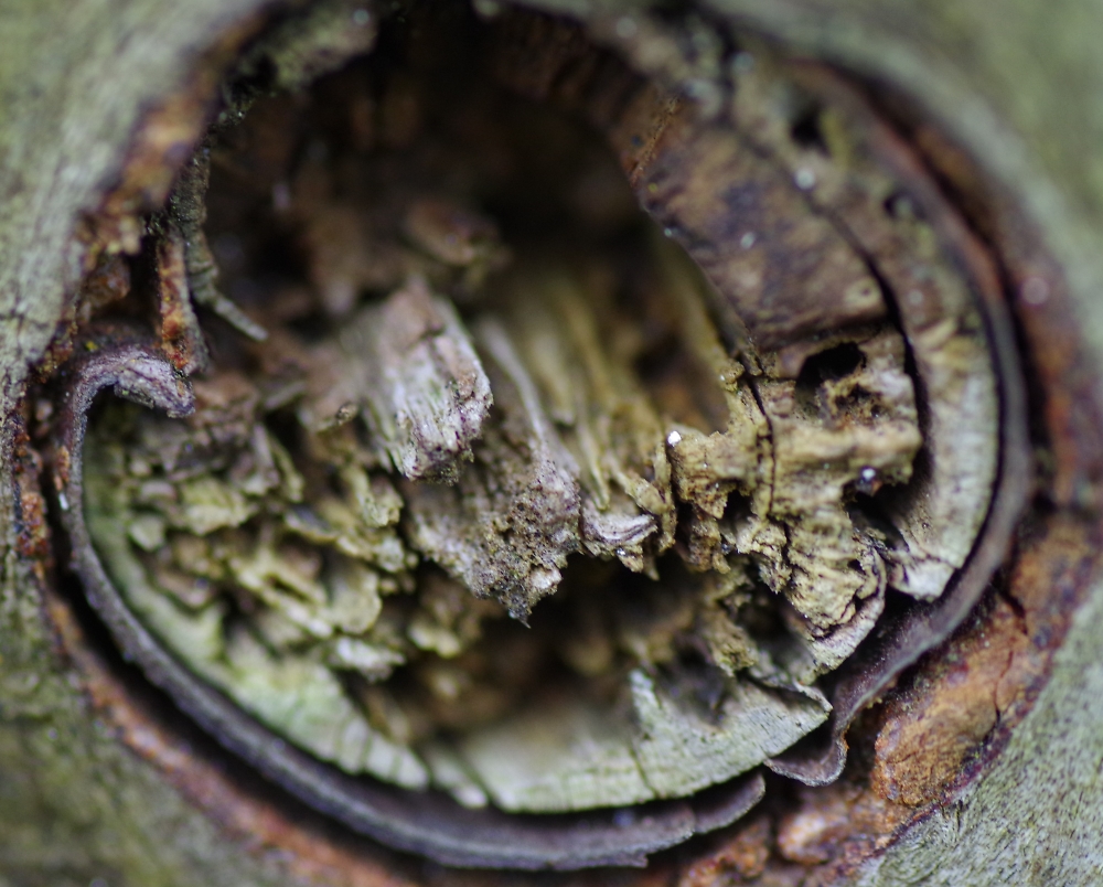 knot in gate