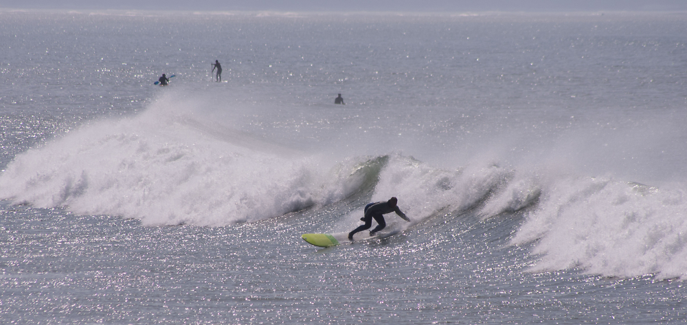 North Devon Surfer