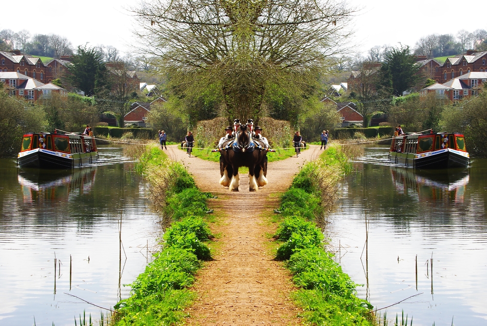 split canal