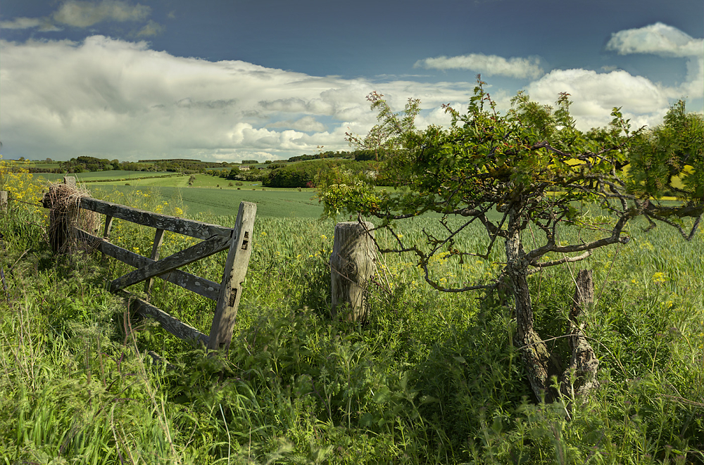 Through the gate to Northumberland