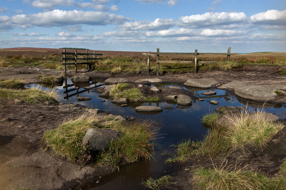 Towards Hallam Moor