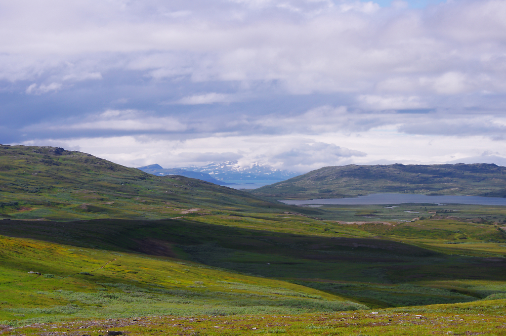 view