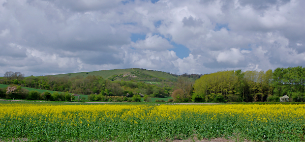 Beacon Hill