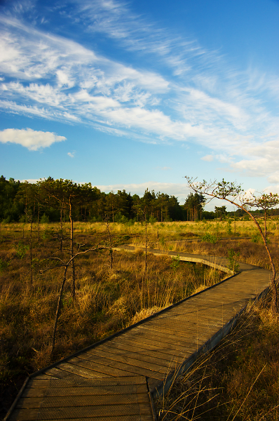 Boardwalk