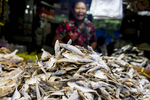 Dried fish Sumatra