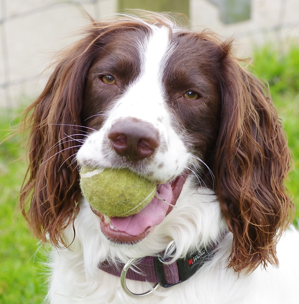 It's MY ball