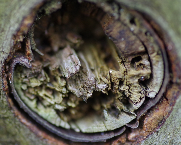 knot in gate