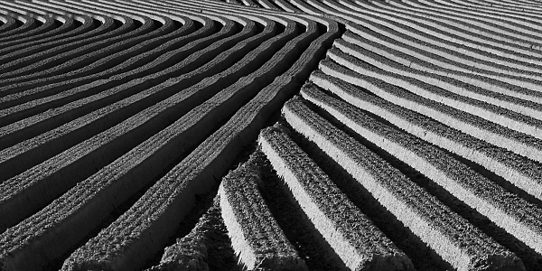 lines, curves, .. waves