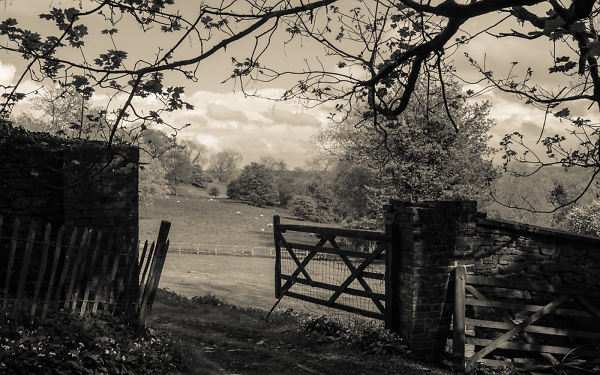 The Gate