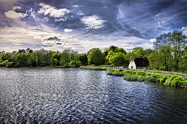The Mill pond