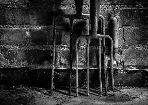 Three Rusty  Forks in a Garage