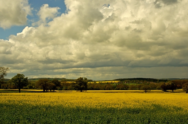 Warwickshire