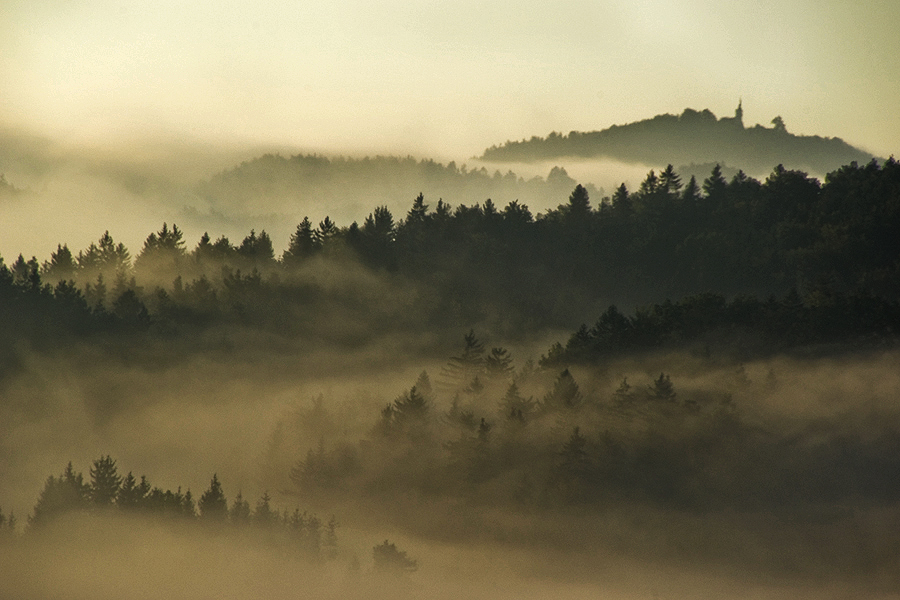 early morning
