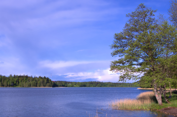 Aluksne lake, Latvia