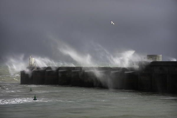 Brighton Marina  2