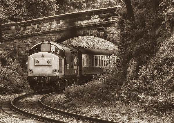 Diesel Loco