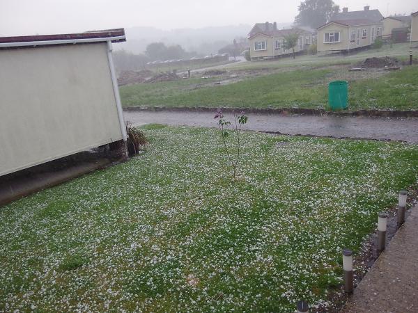 English Summer!!!!