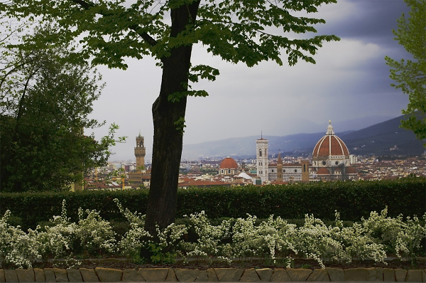 Florence and Amici Miei