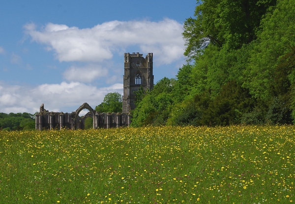 Fountains Abbey