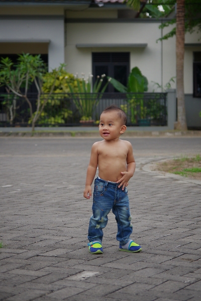 Little Model