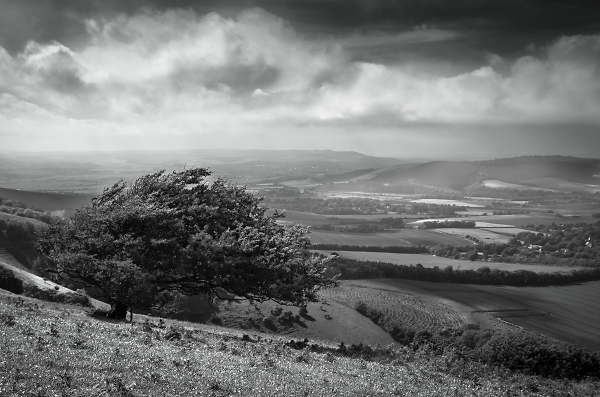 Looking to Caburn