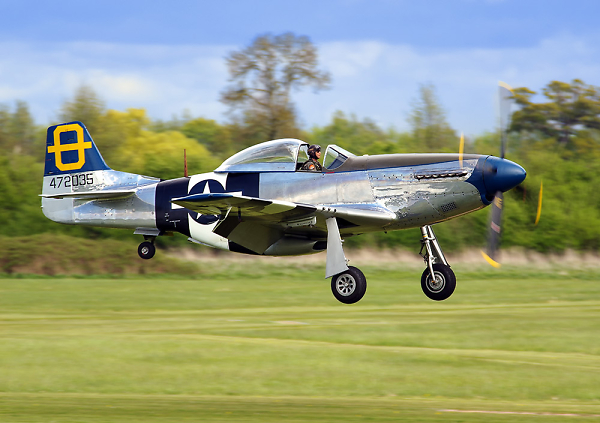 Mustang