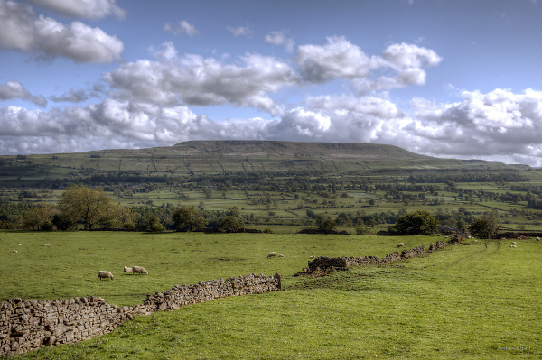 North Yorkshire