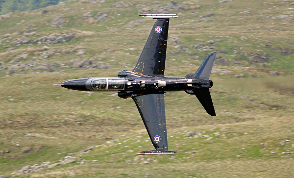 Raf T2 Hawk