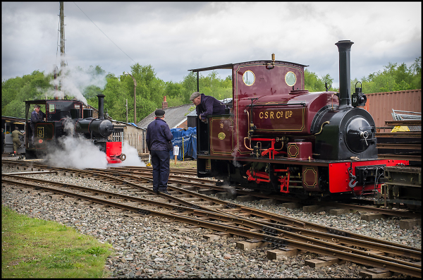 Shunting