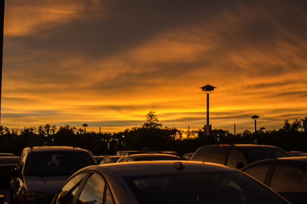 sunset