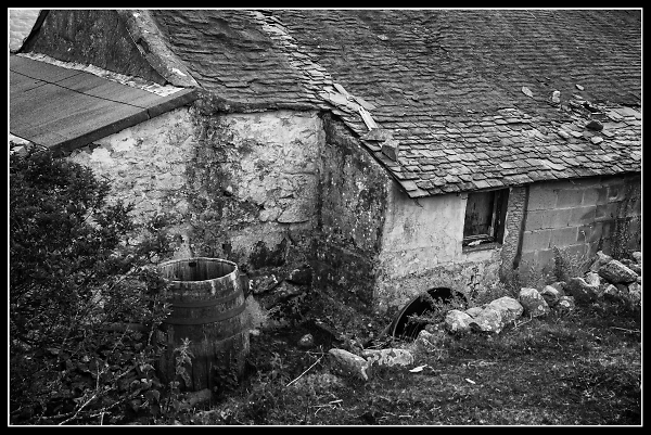 The Farm