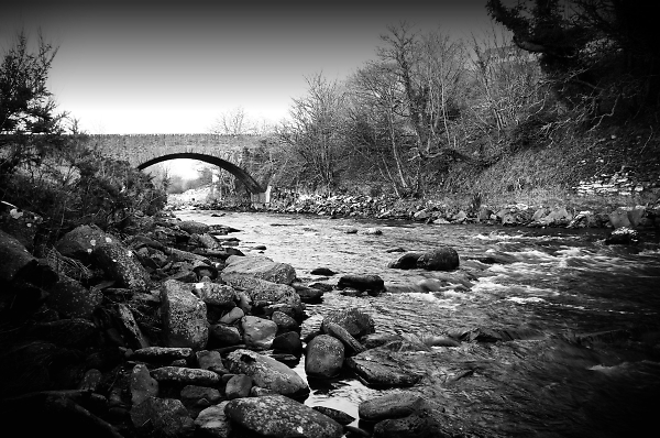 The Stream
