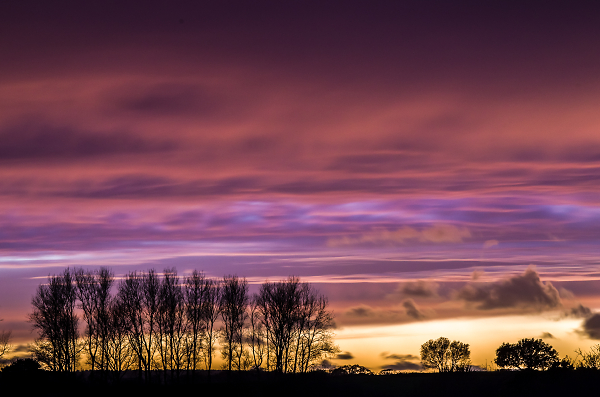 Turn your Eyes to the Skies