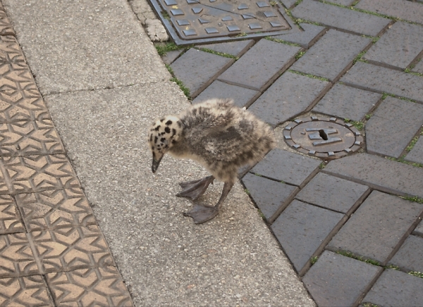 Well spotted!!!