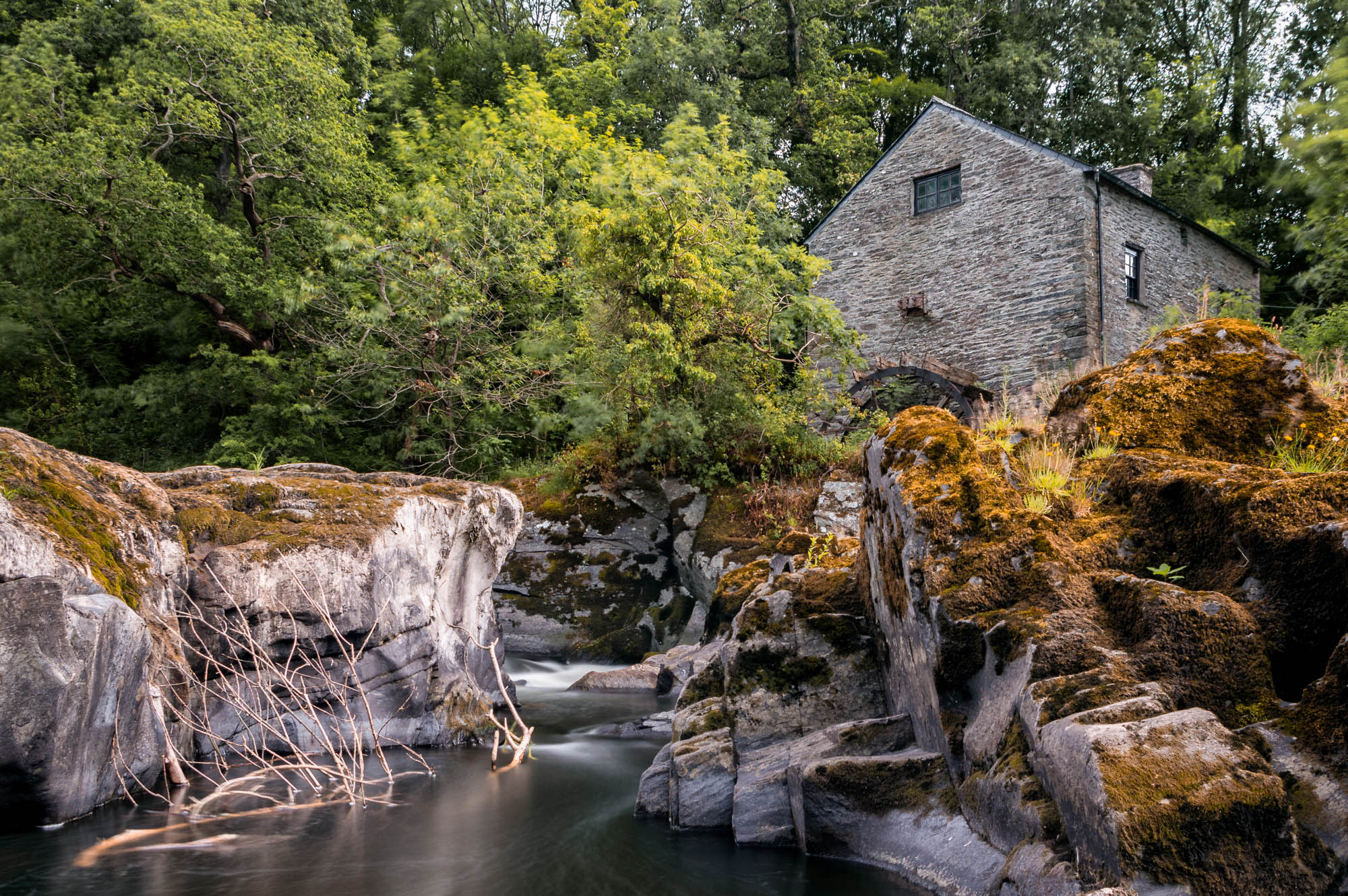 The Mill