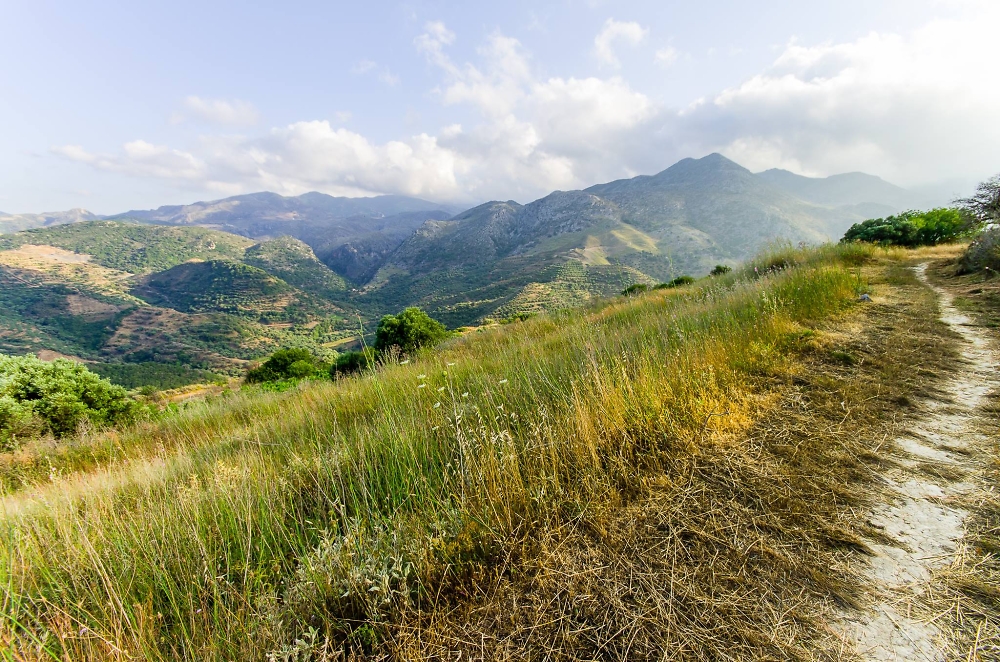Cretan's Mountain Path