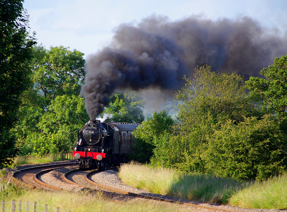 "Scots Guardsman" at Wilpshire