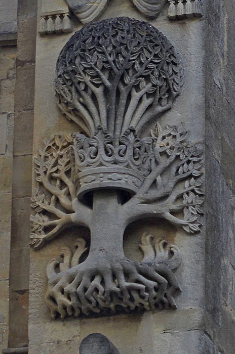 Tree of Life