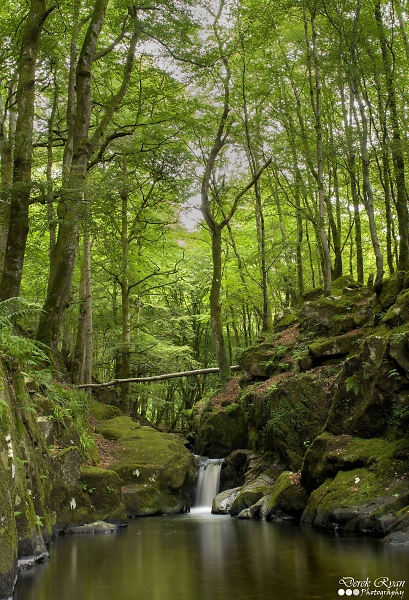 Every Green
