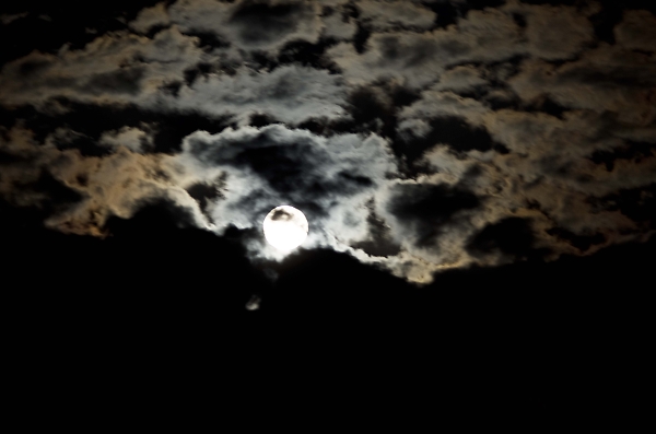 Moonlight