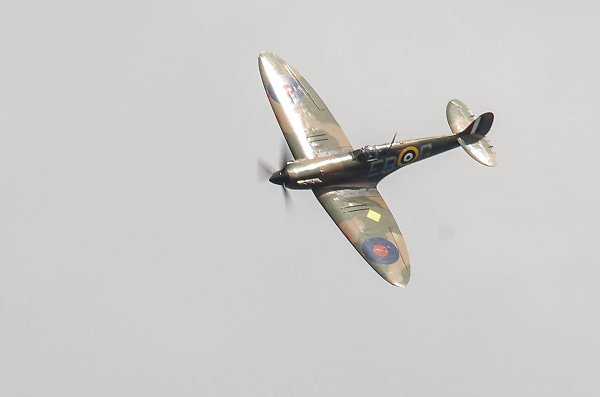 Tally Ho!