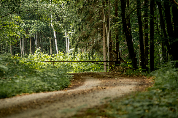 The Road....