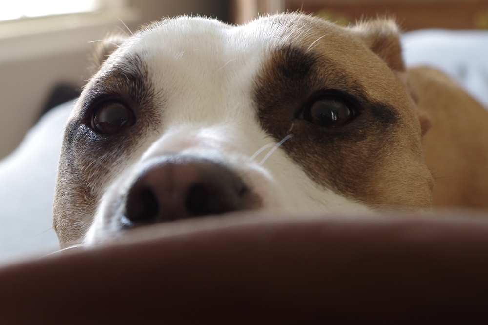 Camera test