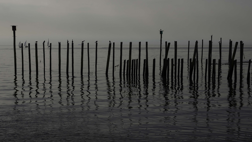 costanera.