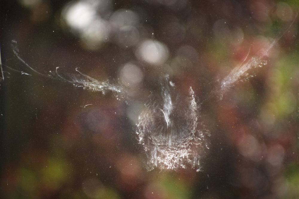 Splat!