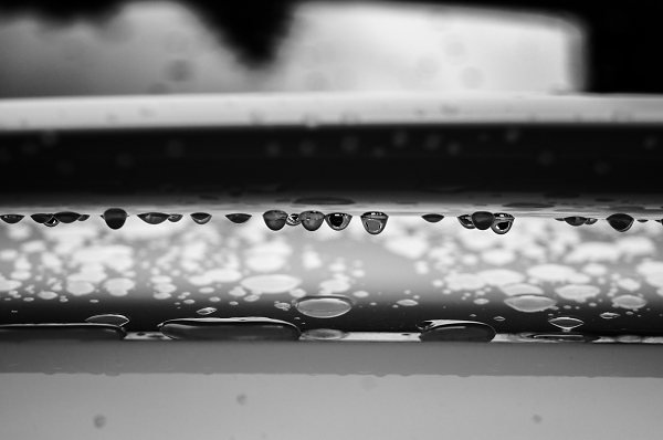 After the rain