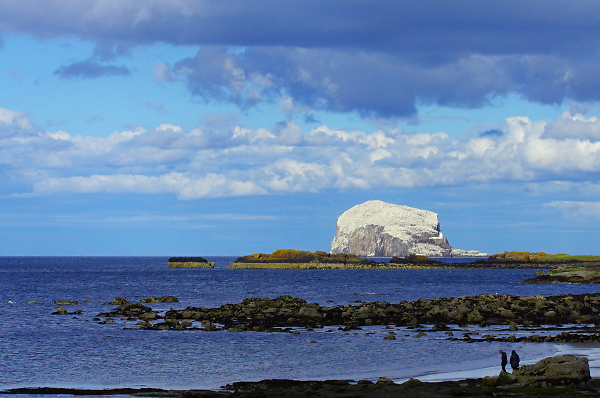 Bass Rock